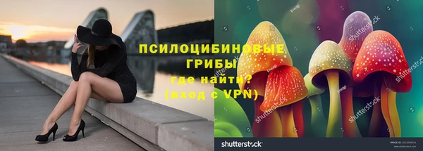 герыч Белокуриха