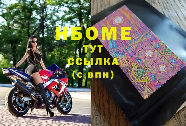 гидра Богородицк