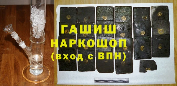 гидра Богородицк