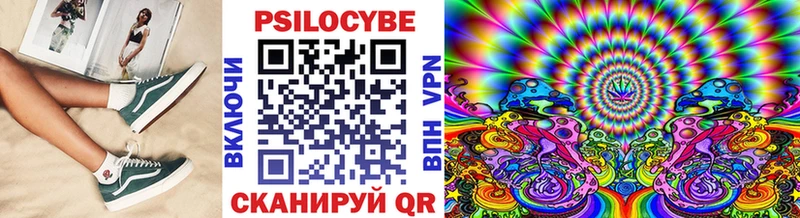 Псилоцибиновые грибы Psilocybe  Купить где  Цивильск 